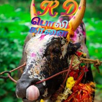 பொலி காளை (@polikalai1987) 's Twitter Profile