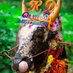பொலி காளை (@polikalai1987) Twitter profile photo பொலி காளை (@polikalai1987) Twitter profile photo