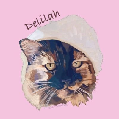 hai ,,welcombs, am Delilah 14 y/o floofy tortie. am lufv mombe, naps, singimg, crunchies an mine frens🤗🏳️‍🌈🤗#mentalwellness #schizophrenia #ADHD-I