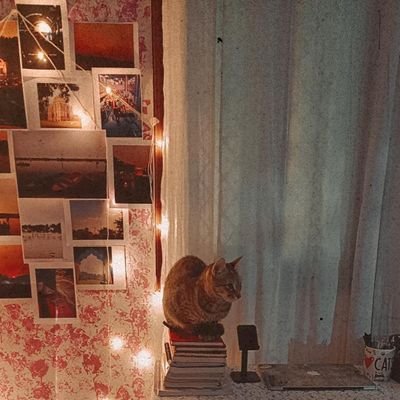 AdvShaziaSameen's profile picture. Researcher | lawyer