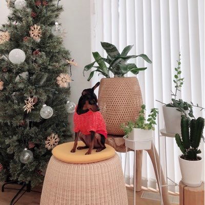 qwoTMzXEGw3gbnh's profile picture. 同志社 理工情報 同志社大学150周年記念プロジェクト 『新島襄と時を刻む ～ 次世代への種まきプロジェクト～』の公式アカウントです！ アプリ開発に興味がある方、イベント開催に興味がある方、PRやマーケティングに興味がある方大募集中です。  #春から同志社