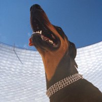 overmono_eddd (@tesselamusic) 's Twitter Profile