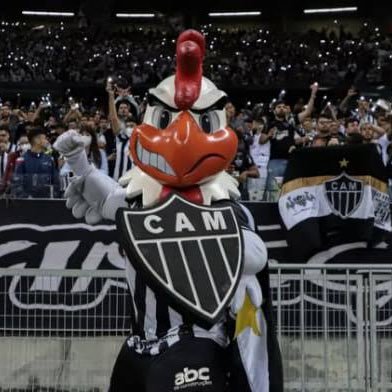 Torcedor assíduo do Atlético Mineiro vulgo Galo Doido 🐓