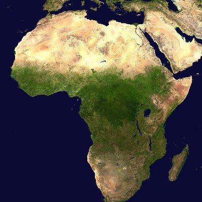 AfricanMonde's profile picture. 