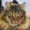 Doris Carey - @DorisCa44931038 - Twitter