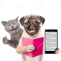 Dog and cat (@zouhairbentafr1) 's Twitter Profile