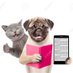 Dog and cat (@ZouhairBentafr1) Twitter profile photo