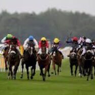 Follow me for daily free Horse Racing Tips and so much more