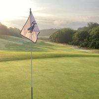 Tanasi Golf (@tanasigolf) 's Twitter Profile