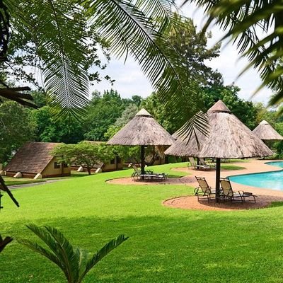 phophi_vele's profile picture. 