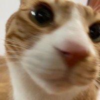 aegi (@ilinouyou) Twitter profile photo