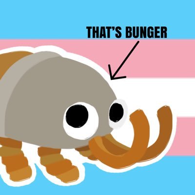 He/Him This account posts some awesome bunger facts The Owner: @goofyahlalafell