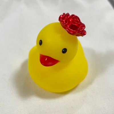 mocha_rissa's profile picture. 読みは「りっさ」。 ｢古湖夕羽(ふるうみ ゆうは)｣名義で歌ってみた投稿もしている。小さきもの達(齧歯類とその他色々)を好む。時々惚気る。手芸部鳥。愚痴と壁打ちは基本仕様。いろんな沼にちょこちょこハマって収拾がつかない。でも楽しい。