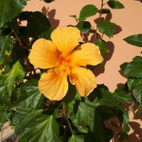 Daniela Motta (@daniela04999831) 's Twitter Profile