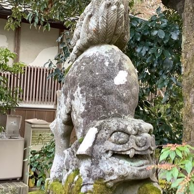 とうらぶ。十二国記。組紐。美味しい物。そうめん。ガチ中華。有償家事労働者つまり家政婦さん。 RT中心だけど時々つぶやく。話しかけられて気が向いたら長文で対応します。2022から通信大学で大学生。楽しい。ネタばれ有。成人済み。 https://t.co/CD4IlmGfkw