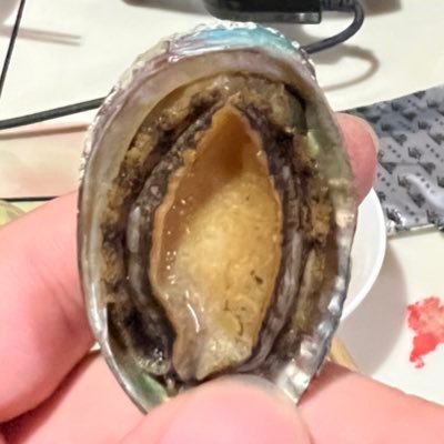 SDJN_0531's profile picture. 