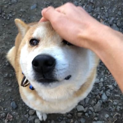 青山学院大学 駅伝部