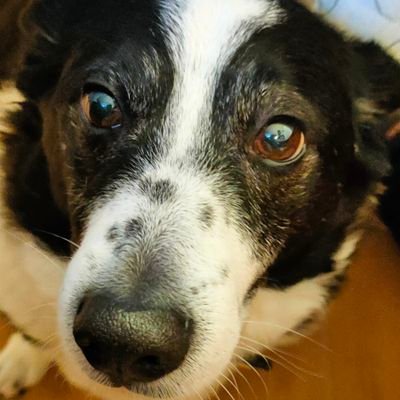 DerKorkin's profile picture. Hi. Ich mache langweilige YouTube Videos.
Discord: https://t.co/EEwu9KZYU3