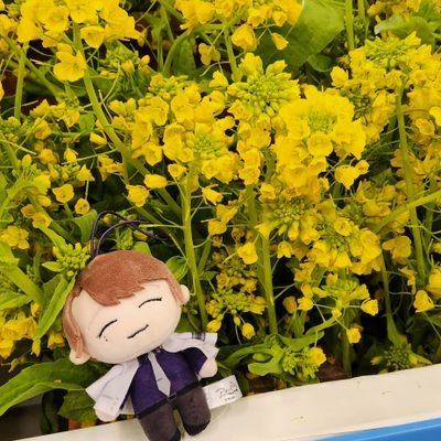 こんにちは。30↑歳 女性！取引垢です
基本的に情報収集とグッズの交換、譲渡で使っています。ツイート多いです。