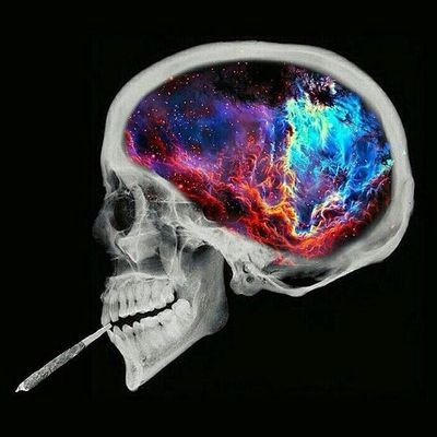 badwi991's profile picture. MURDA BEZNESS