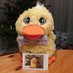 Tweetvogel (@tweetvogel2011) Twitter profile photo Tweetvogel (@tweetvogel2011) Twitter profile photo