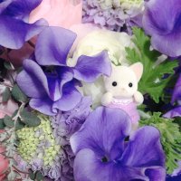 みさみさ☻ (@painomipanipani) 's Twitter Profile Photo みさみさ☻ (@painomipanipani) 's Twitter Profile Photo