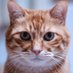 ねこねこカズミン (@katsumi_takky) Twitter profile photo ねこねこカズミン (@katsumi_takky) Twitter profile photo