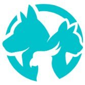PetFAQ.net(@Pet_FAQ) 's Twitter Profile Photo