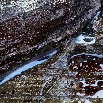 badadolmeng's profile picture. 