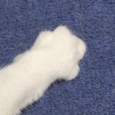 kano50906336's profile picture. ジャッジメントですの!