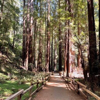 shaileshdalmia's profile picture. collection of retweets..which i believe in..