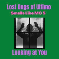 Lost Dogs Of Ultimo(@theultimodog) 's Twitter Profileg