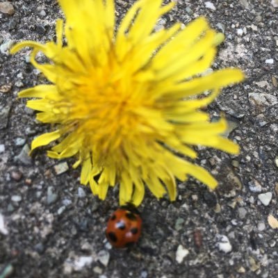 mimi_mirudake's profile picture. 