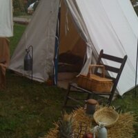 Evelyn Kinkade (@eekinkade) 's Twitter Profile