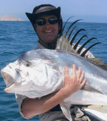 davidkennett's profile picture. 