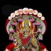 Seema Lodha (@seemalodha3) 's Twitter Profile
