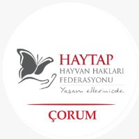 Haytap Çorum(@haytapcorum) 's Twitter Profile Photo