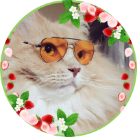 むいむい (@mu_imu_ing299) Twitter profile photo