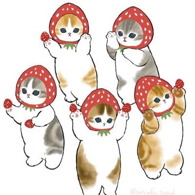 fE2oKuhL7kkqnUW's profile picture. 小4男子/サッカー/公文(数学&国語) 中学課程にて卒業し、新小4の2月〜Sへ入塾2027中受予定/当方無知すぎる故、情報得る為Twitter開始。無言フォロー失礼します！