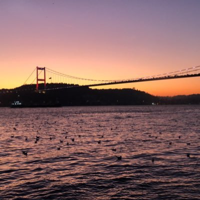 HakanYARAN9's profile picture. 