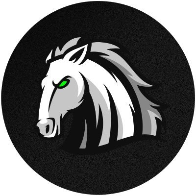 borussia_esport Profile Picture