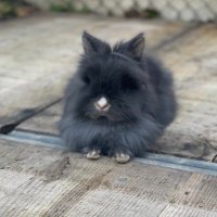 JAprox (@j_aprox) 's Twitter Profile