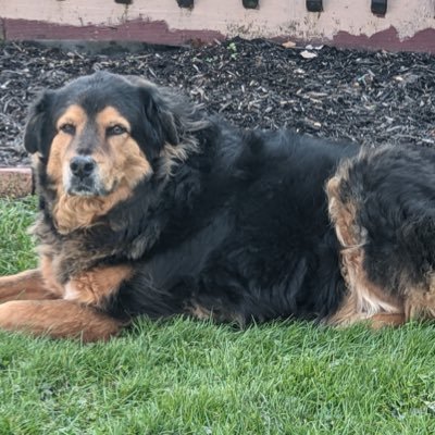 ha53559855's profile picture. 