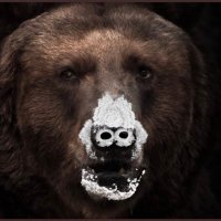 lucid trader (@traderlucid) 's Twitter Profile