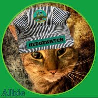 Albie (Mr Albers.)(@AlbersAlbie) 's Twitter Profile Photo