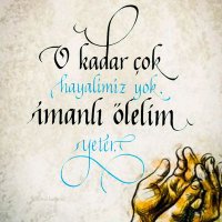 Habibe Gencer (@habibegencer1) Twitter profile photo