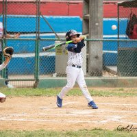 Carlos Barreno (@carlosb56359133) 's Twitter Profile