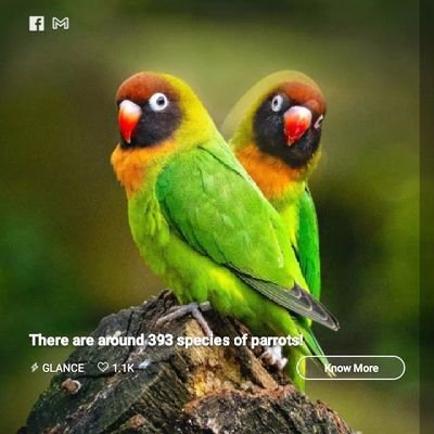 gasingh22's profile picture. 