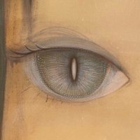 ᴠᴇɴᴜꜱ (@haematiclove) 's Twitter Profile