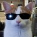 Plebian Maximilian (@plebianmaximil1) Twitter profile photo Plebian Maximilian (@plebianmaximil1) Twitter profile photo